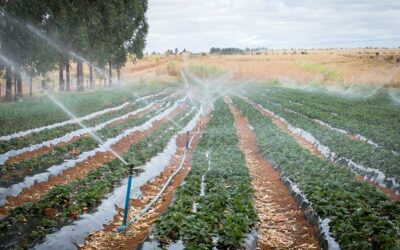 Sistemas de irrigação e tubulações para o setor Agrícola